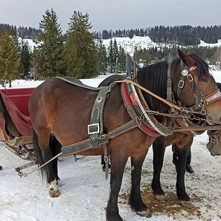 Fewo Loewenzahn Comfortable Holiday *